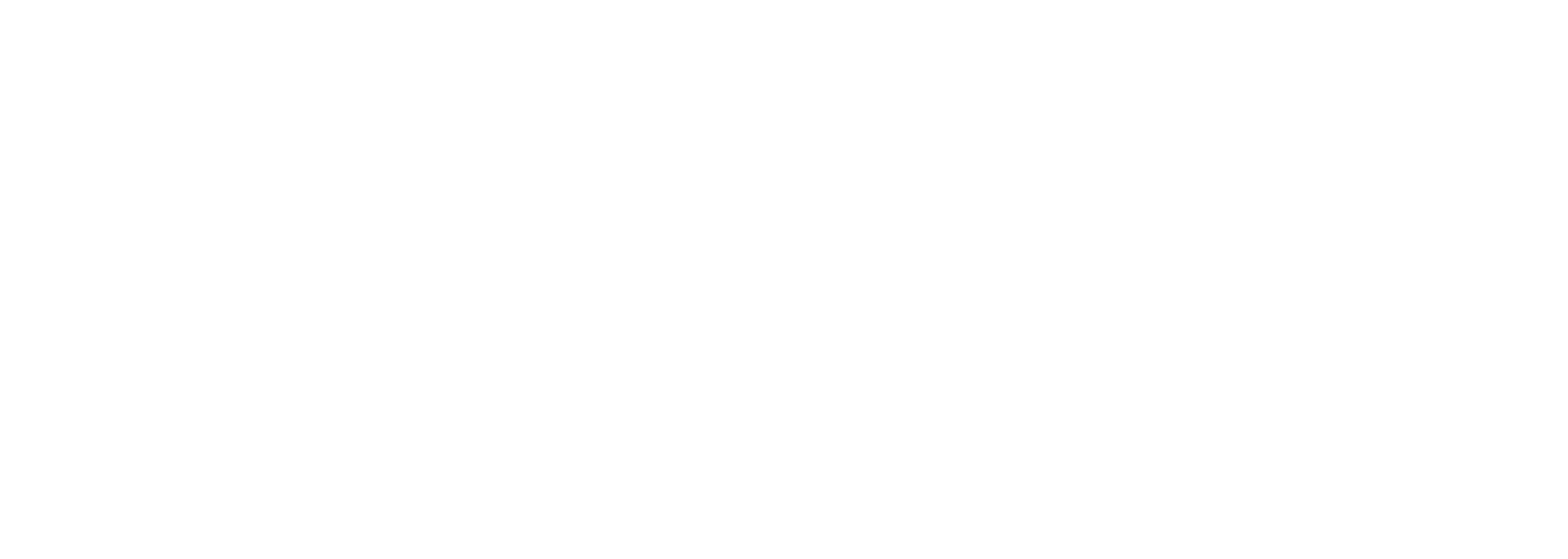 La Professionnelle du Nettoyage